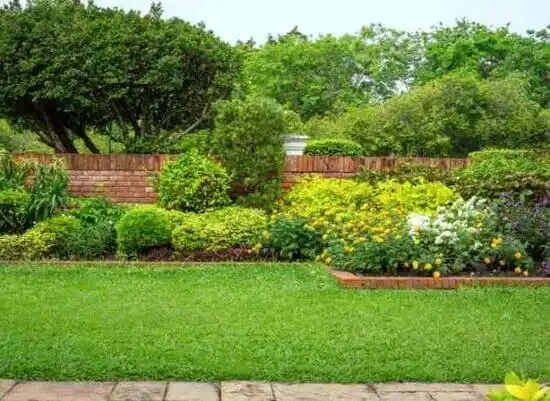 landscaping services Frankfort